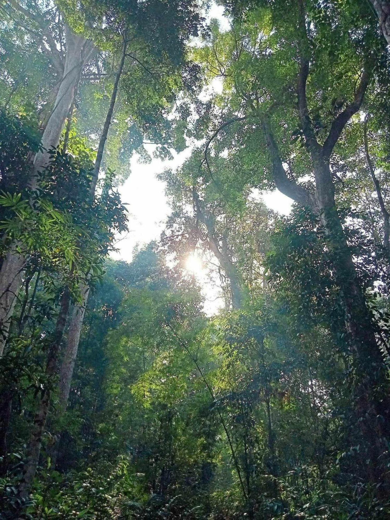 Bee Bee'S Chalets Home Stay And Trekking Banlung Exterior foto