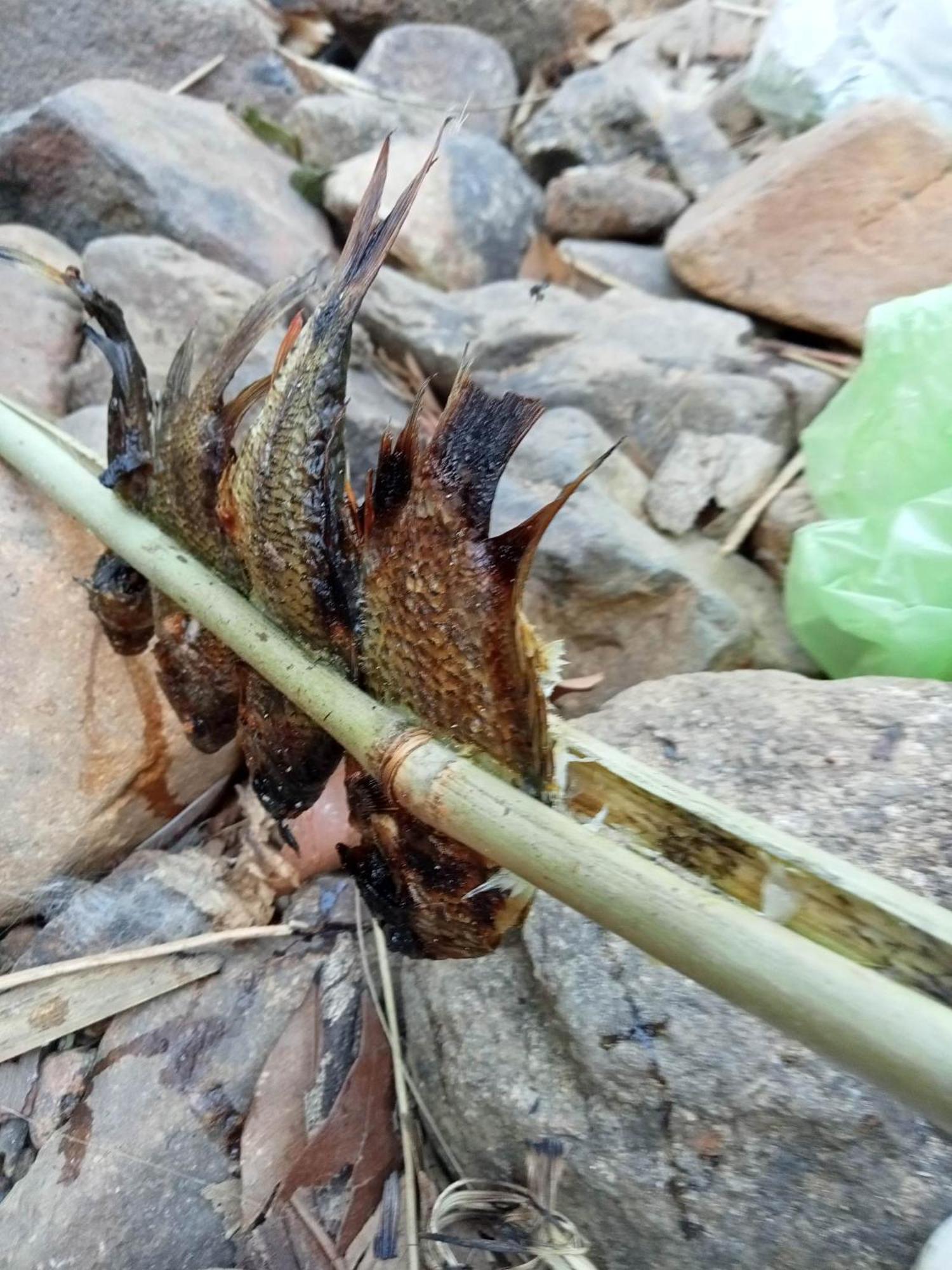 Bee Bee'S Chalets Home Stay And Trekking Banlung Exterior foto